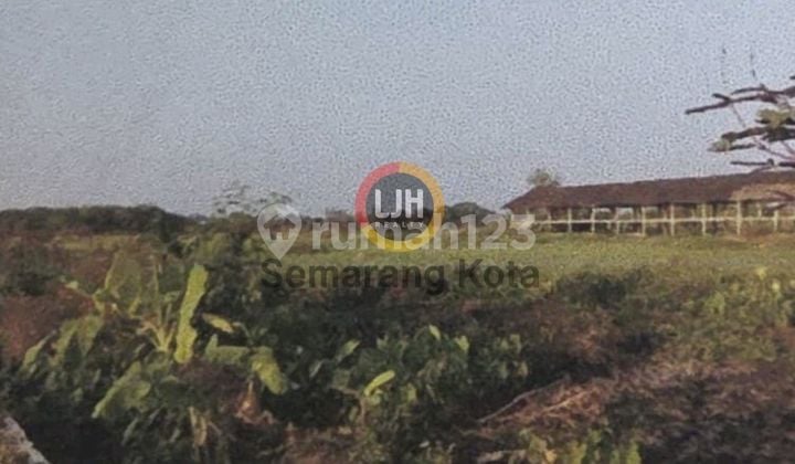 Kavling Di Polanharjo, Klaten