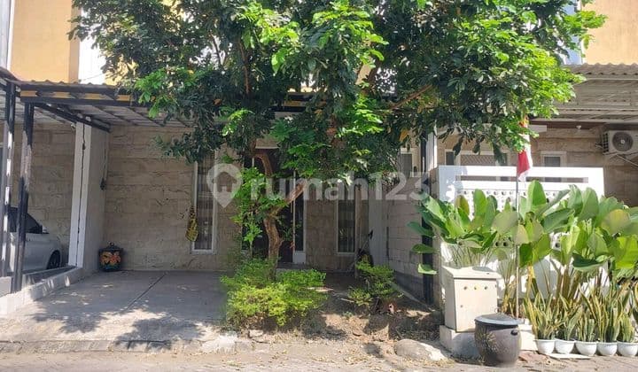 Lelang Murah Rumah 2 Lantai Savana Regency Driyorejo Gresik