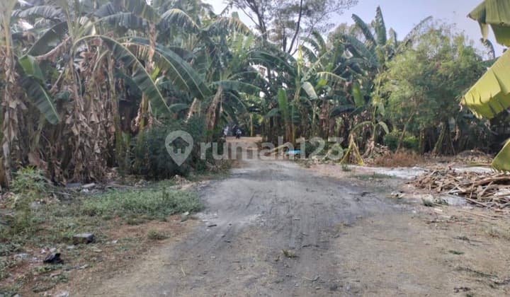 Tanah Hrg NJOP 13M Nego di Kalibata Pancoran Jakarta Selatan