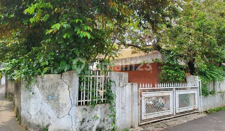 Jual Rumah Tua, Hitung Tanah 4M di Cipinang Jakarta Timur