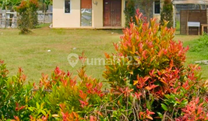 Vacant Land 2.5 Million/Meter Bojongsari Depok