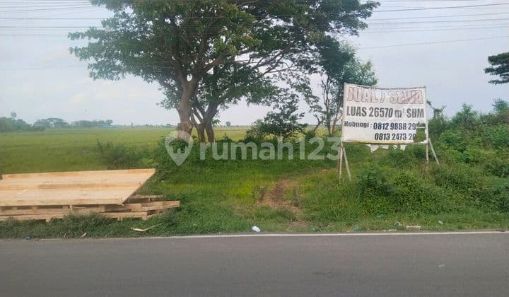 Jual Sebidang Tanah di Jalan Raya Kanci,Sebelah Kanan Dari Arah Cirebon