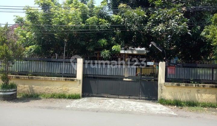 Rumah Asri dan Strategis di Jl Suratno