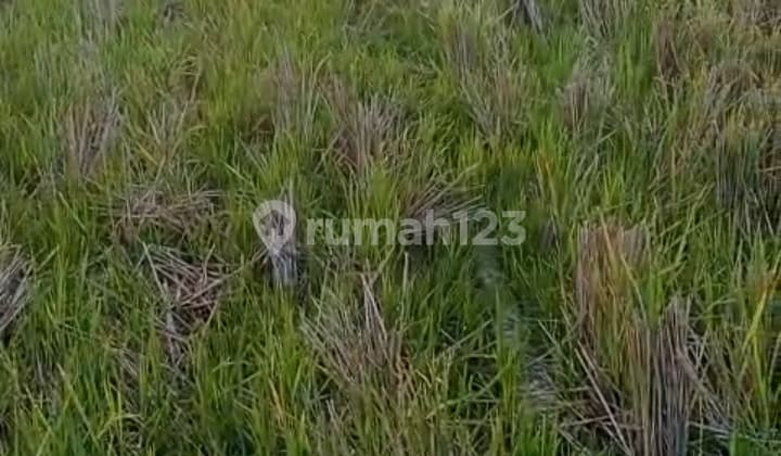 Jual Tanah di Pilangsari Cirebon