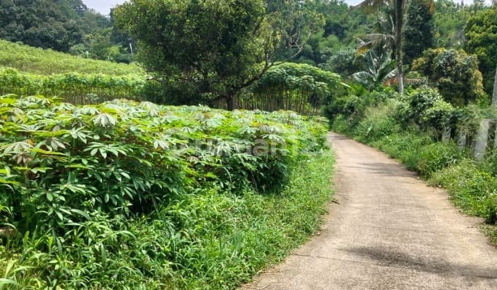 Tanah Luas 1 Hektar Area Megamendung Bogor, Hanya 150Rb/M²