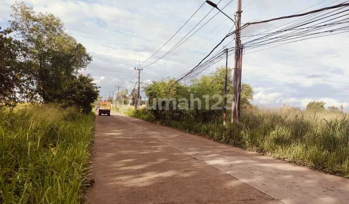 Dijual Cepat Tanah Bantarpanjang Tigaraksa Kabupaten Tangerang Banten