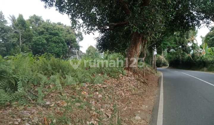 Tanah Luas Dipinggir Jalan Dekat Pintu Tol SHM PBB di Sukabumi