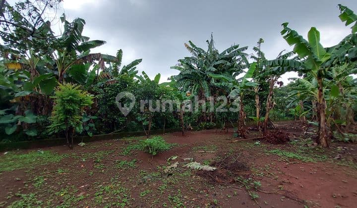 Tanah Strategis Daerah Margonda Area Gunadarma Cocok Kosan Tanah