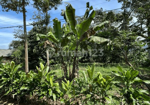 Strategic Land Location by the Roadside on Jalan Cagak Subang