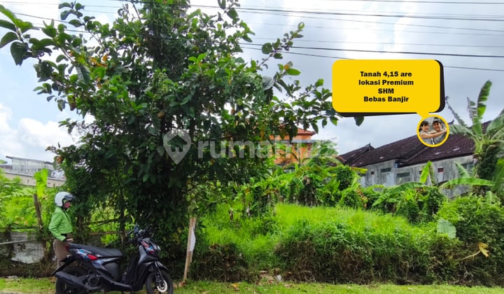 Tanah 4,15 Are Dijual di Tabanan - Lokasi Premium Dekat Jalan Raya, Rs, Sekolah, 30 Menit ke Canggu & Pantai, Bebas Banjir, SHM