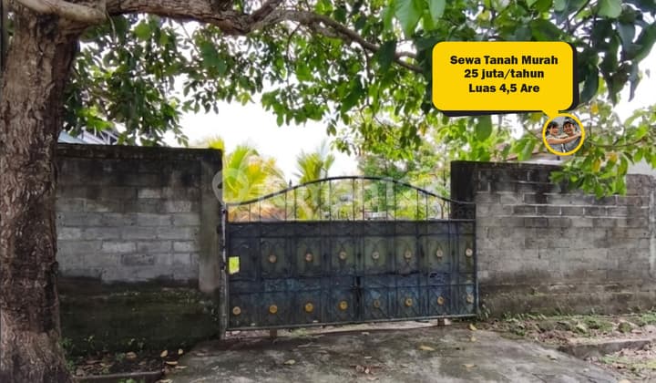 Sewa Tanah Murah di Tabanan Bali 4,5 Are, Akses 2 Mobil, Hanya 25 Juta/Tahun