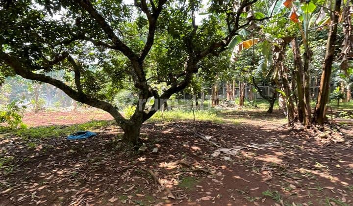 Dijual Tanah Cirendeu