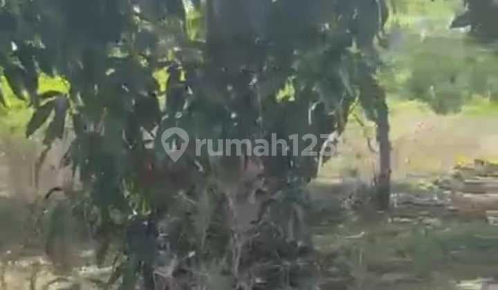Tanah bisa untuk Jadi Buat Kawasan Villa