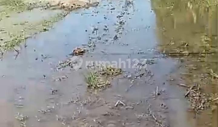 Land area of 86.70 Are in Jembrana, Bali, Glimatuk