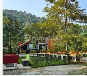 Land for Sale with House and Garden (Total Land Area of 7516 M2 and 1666 M2).