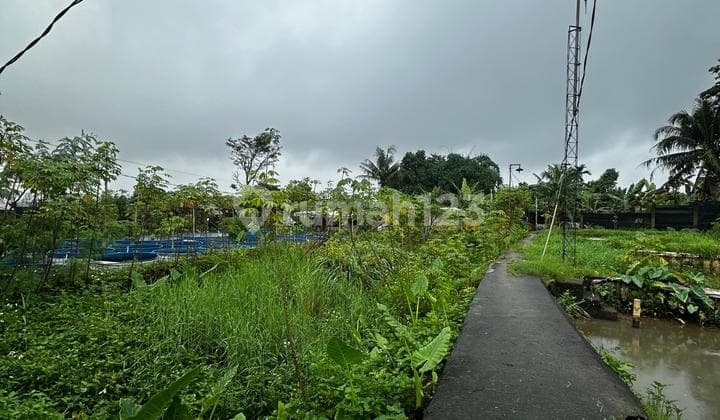 Dijual Tanah 1 Hektar SHM Siap Bangun di Dramaga Bogor