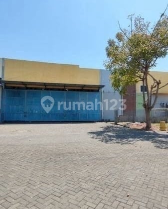 Warehouse for Sale in Safe N Lock Warehouse Ready to Use