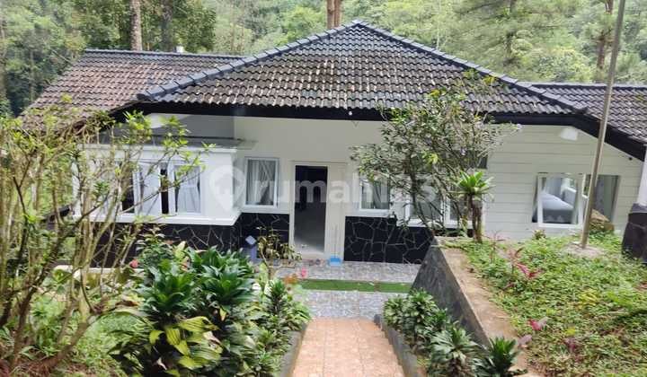 Cheap Sale: Luxurious and Beautiful Villa on a Hill in Megamendung, Puncak, Bogor