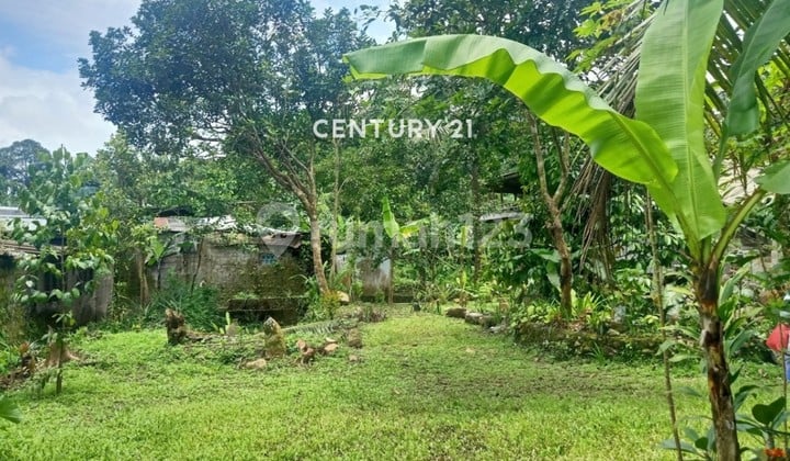 Tanah Luas Dijual Cepat Lokasi Strategis di Taman Sari Bogor