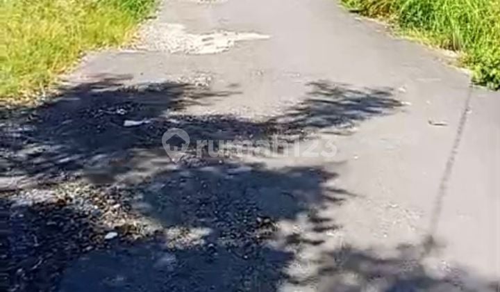 Premium Land for Sale in Villa Environment, Located in Gunung Salak, West Denpasar