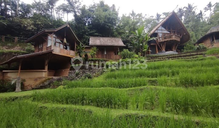 Dijual Tanah Ada Riverside Villa & Resto Jatiluwih Tabanan Bali