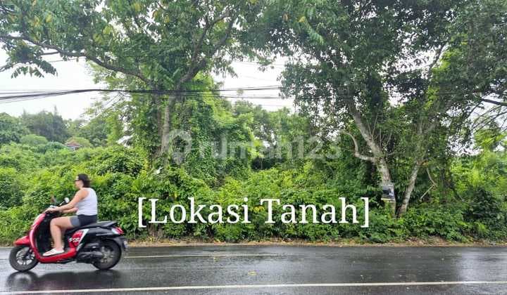 Dijual Tanah Premium Jalan Utama Belimbing Sari Menuju Savaya Beach Club / Pecatu Kuta Sepatan / Badung - Bali.