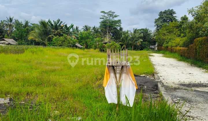 Dijual Tanah Suasana Sejuk dan Tenang Loss Sungai Nempel dengan Kolam Renang dan Area Pesraman