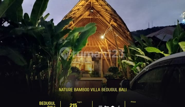 For Sale Premium Nature Bamboo Villa Bedugul Bali