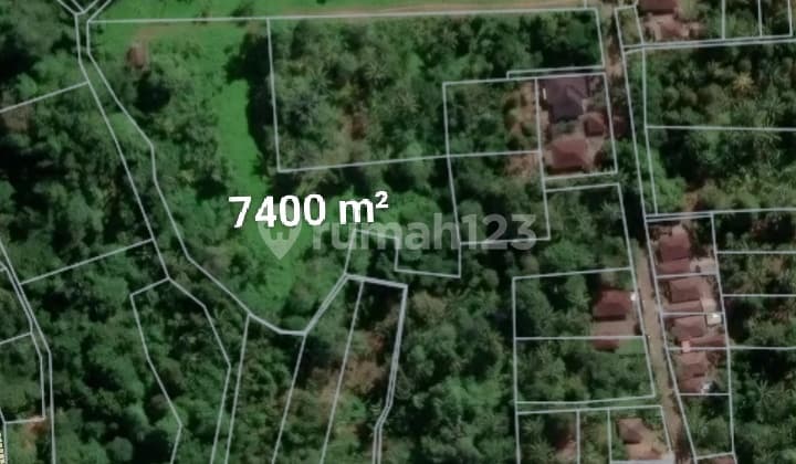 Dijual Tanah Siap Bangun/Kapling View Sawah, Gunung dan Lembah Berlokasi di Pitra, Penebel - Tabanan
