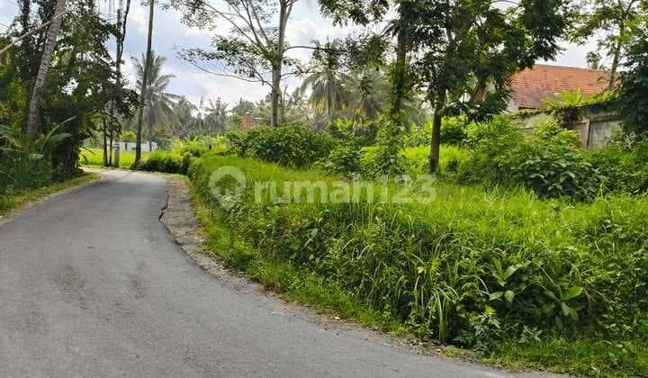 Disewakan Tanah Premium Lokasi Jalan Utama Titi Api Pejeng Kawan Gianyar - Bali