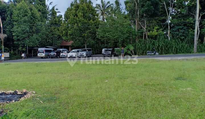 Dijual Tanah Premium Bonus Bangunan di Tampak Siring Gianyar