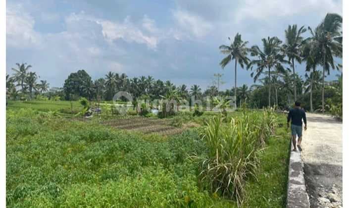 Dijual Tanah Premium Jl. Raya Pandawa Tegal Lalang Gianyar Ubud Bali