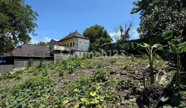 Dijual Tanah Mini Premium Cocok untuk Usaha di Cargo Permai Denpasar Barat Bali