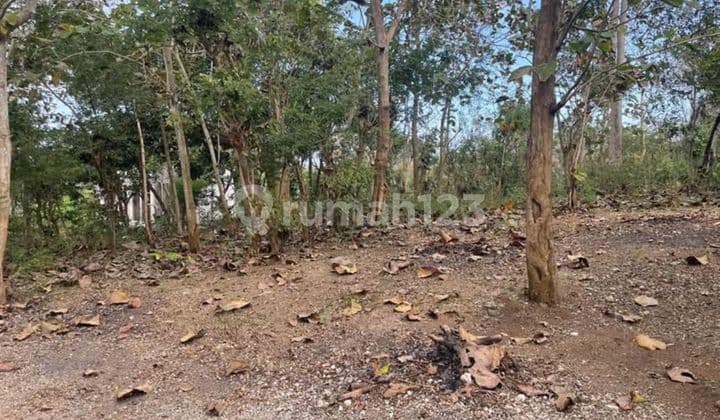 For Sale Premium Land on Main Road Belimbing Sari-Pecatu Badung Bali Near to Savaya Beach Club Ocean View