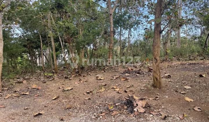 For Sale Premium Land on Main Road Belimbing Sari-Pecatu Badung Bali Near to Savaya Beach Club Ocean View