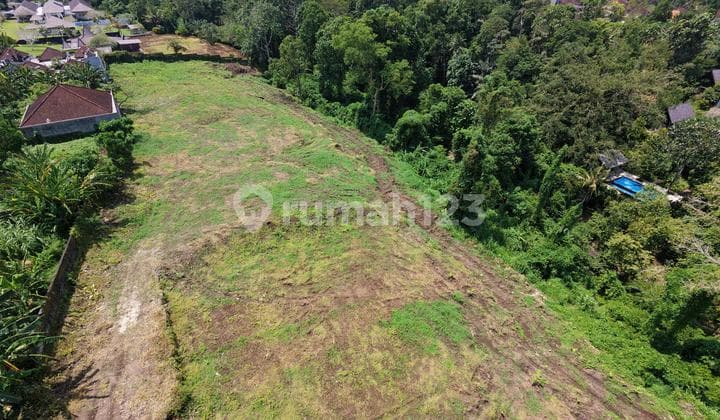 Dijual Tanah Premium Siap Kavling Villa di Tanah Lot Tabanan Bali