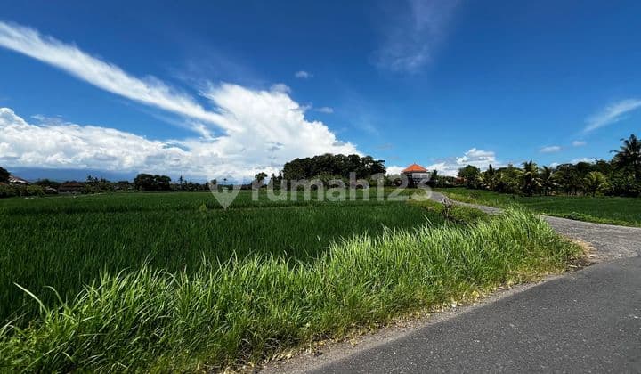 Dijual Tanah Premium Murahfull View Laut - Gunung - dan Sawah di Pantai Pasut Tabanan Bali