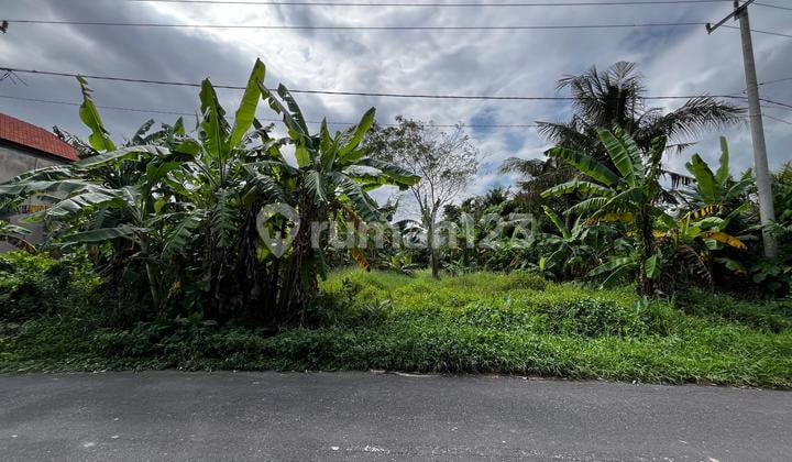Dijual Tanah Premium Jalan Utama Pantai Saba Lingkungan Villa dan 200 Meter Menuju Pantai Saba Berlokasi di Jalan Pantai Saba - Gianyar - Bali