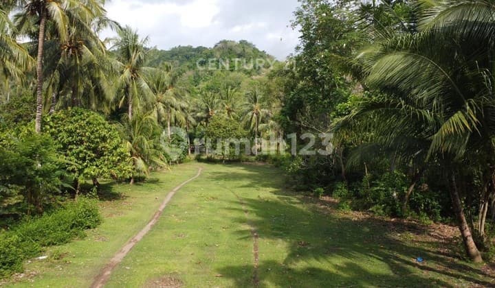 Tanah Luas Dekat Pantai Lombok Buat Villa