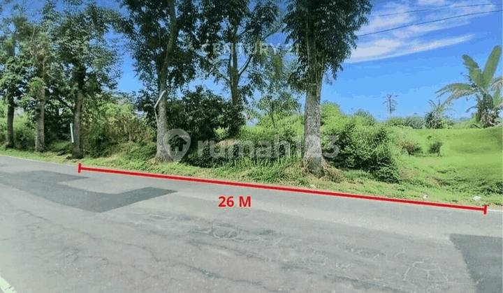 Tanah Pinggir Jalan Dekat Sleman City Hall Ideal untuk Villa