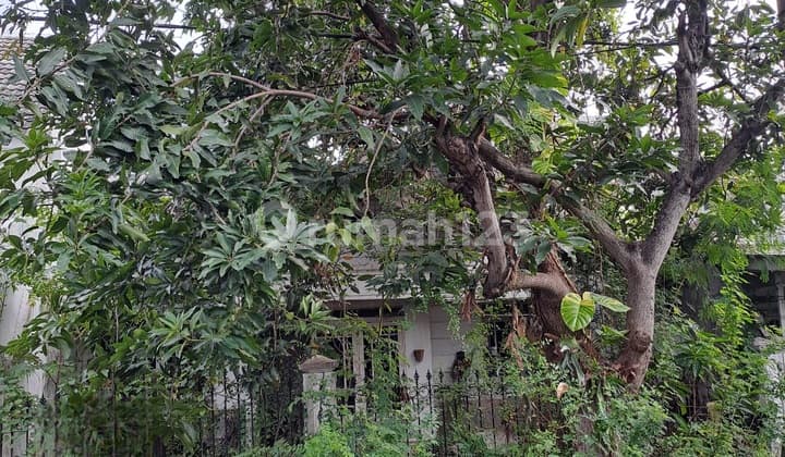 A036. Dijual Rumah Hancur Hitung Tanah Pondok Tjandra