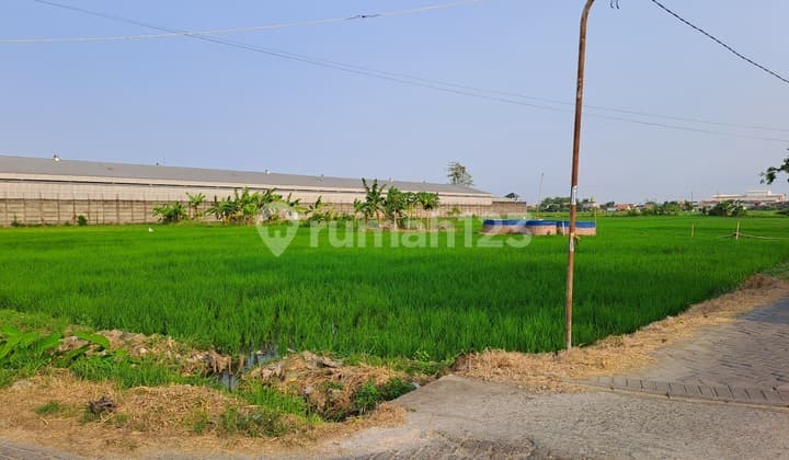 A069. Dijual Tanah Industri Karangbong Sidoarjo