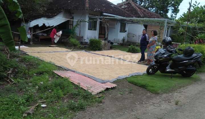 Land Investment in Bantul at Prices Below 1 Million Per Meter