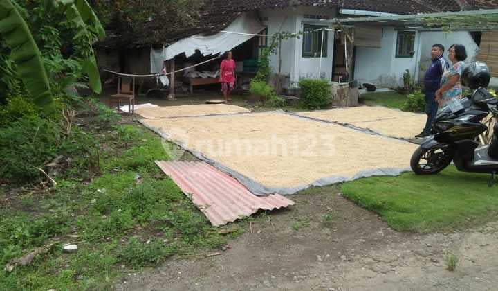 Jual Tanah Pekarangan Murah di Bantul Akses Jalan Lebar Siap Huni