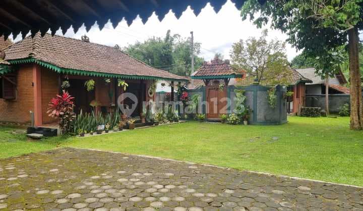 Dijual Cepat Villa Cantik SHM Pekarangan di Turi