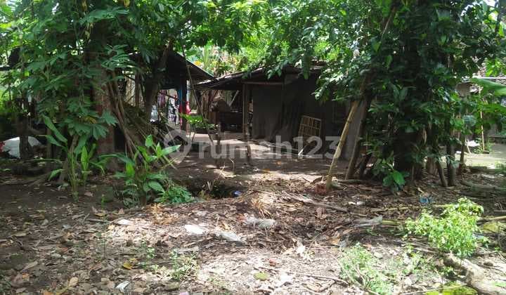 Cheap Sale of Empty Land Near Bantul City - Suitable for Residential House