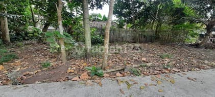 Dijual Cepat Tanah Pekarangan Murah Dekat Pasar Cebongan Tlogoadi Sleman