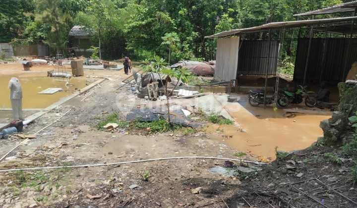 Tanah Pertanian SHM di Bantul Jogja, Cocok untuk Investasi atau Usaha Agrobisnis