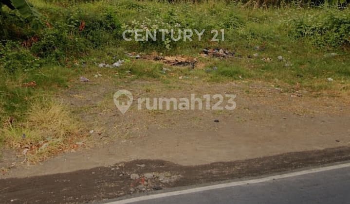 Tanah Komersial dan Strategis di Jalan Utama Tegal