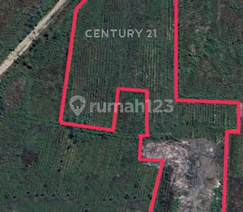 Tanah Zona Industri Cocok untuk Pabrik di Brebes